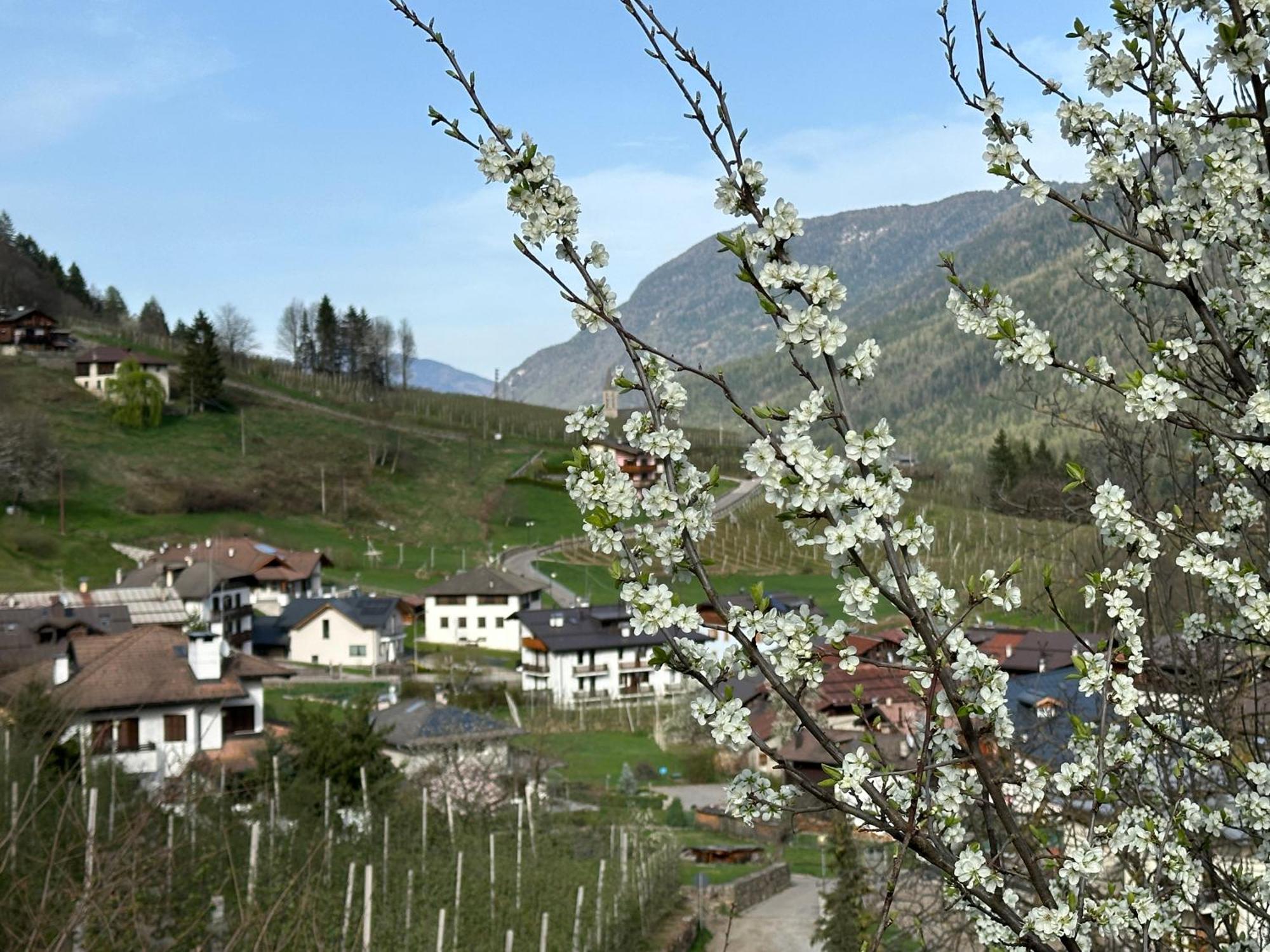 Val Di Sole Apartment *