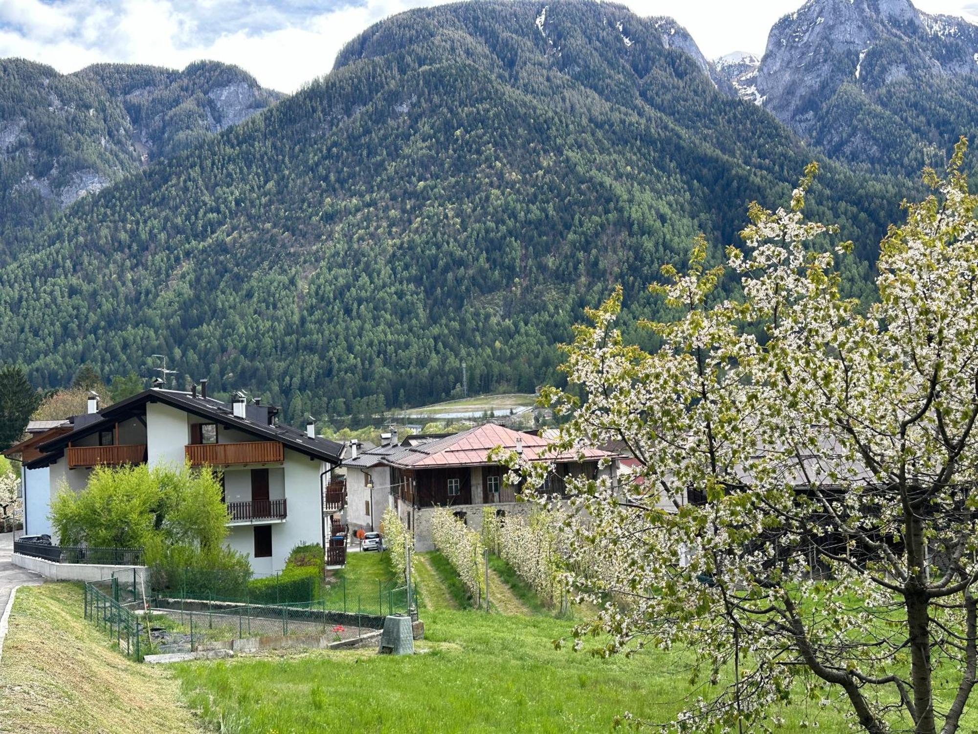 Val Di Sole Monclassico